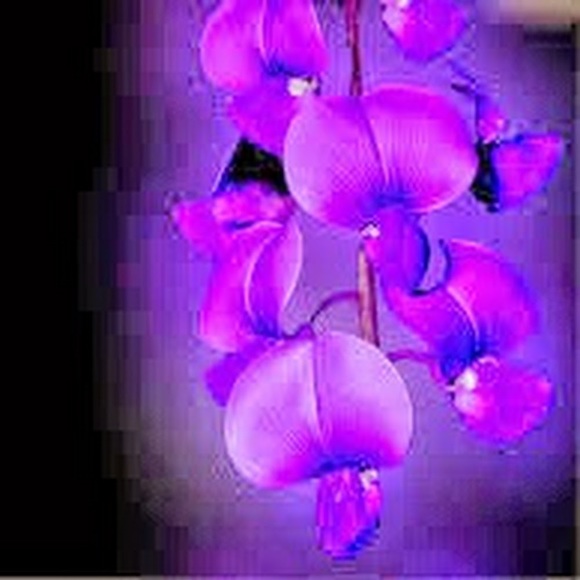 Meet your Posher, Victoria - Picture 1 of 1